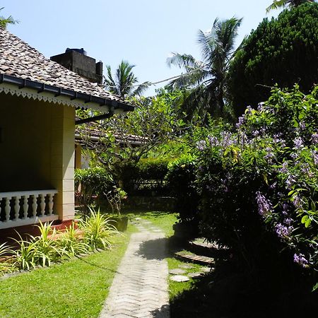 Top Of The Hill Guesthouse Weligama Bagian luar foto