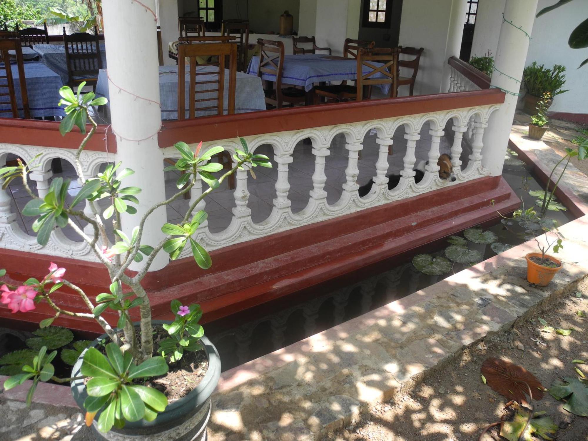 Top Of The Hill Guesthouse Weligama Bagian luar foto
