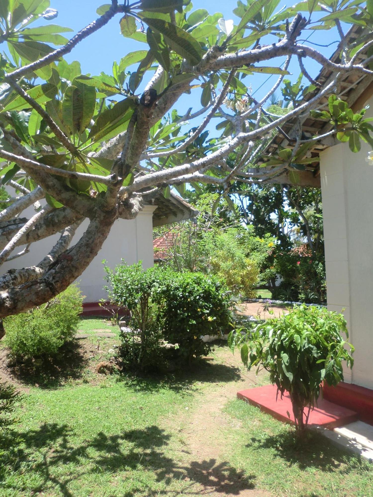 Top Of The Hill Guesthouse Weligama Bagian luar foto