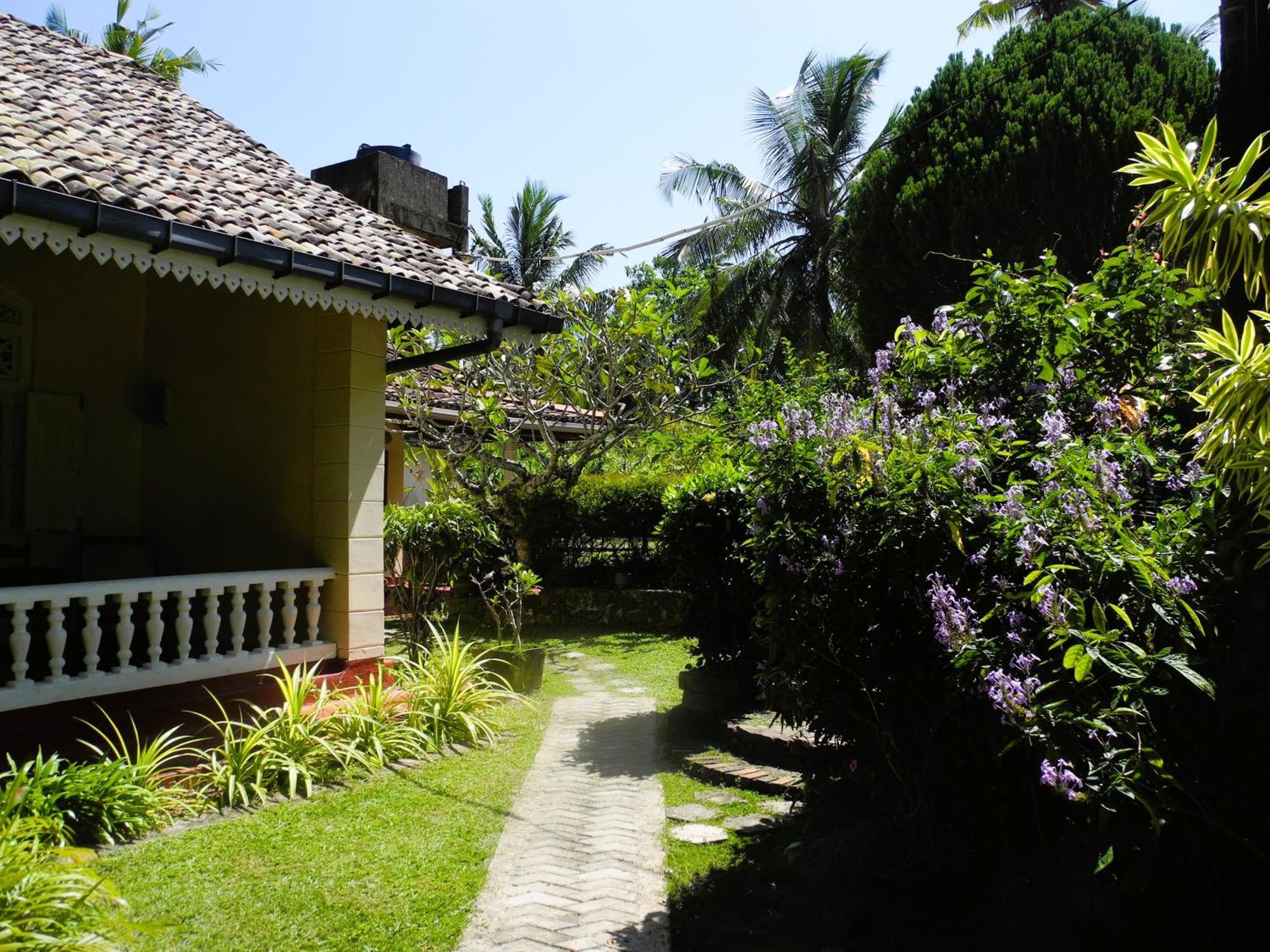 Top Of The Hill Guesthouse Weligama Bagian luar foto