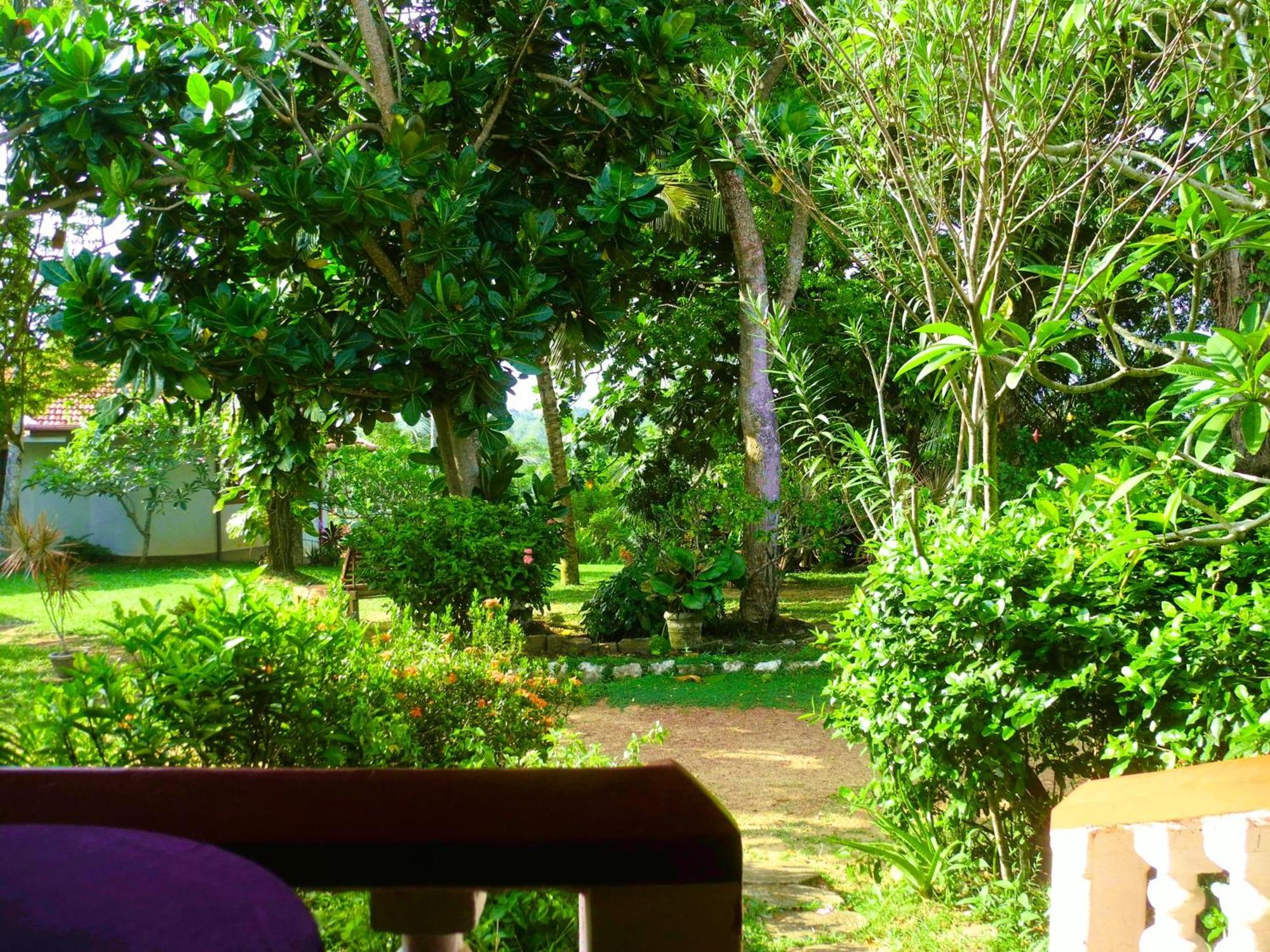Top Of The Hill Guesthouse Weligama Ruang foto