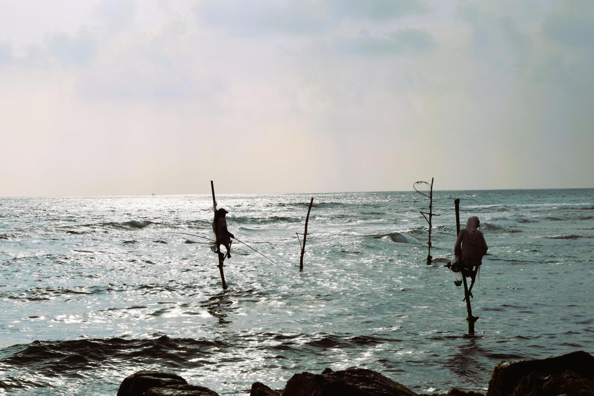 Top Of The Hill Guesthouse Weligama Bagian luar foto